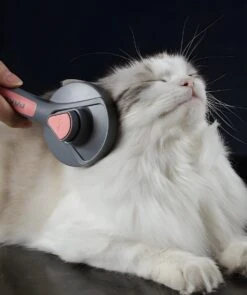 Pakeway T9 - Kattenborstel - Zelfreinigende Kattenkam - Roze - Massageborstel - 19,3 Cm -Merkloos Winkel 1005x1200