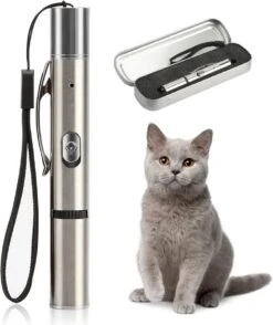 Merkloos Laserpen - USB Oplaadbaar - Kattenspeeltjes - Verschillende Standen - Zilver - Houder -Merkloos Winkel 1009x1200