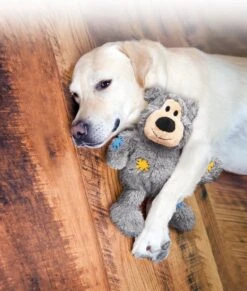 Kong Wild Knots Beer - Hondenspeelgoed - Assorti - M - 25 X 20 X 10 Cm -Merkloos Winkel 1017x1200 3