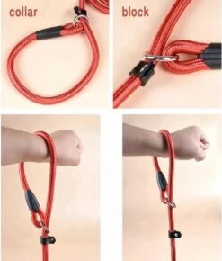 LOUZIR Cesar Millan Sliplijn Met Stop - Hondenriem - Rood - 130 Cm -Merkloos Winkel 1023x1200 3