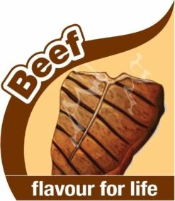 Nylabone Flexi Voor Honden Puppy Teething X Bone Beef Tot 11 Kg -Merkloos Winkel 1048x1200