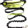 Hondenriem Hardloopriem Elastische Reflecterende Geschikt Voor Hardlopen - Handsfree Riem Met Opbergtasje – Hond Looplijn - Schokabsorberend - Groen -Merkloos Winkel 1052x1200