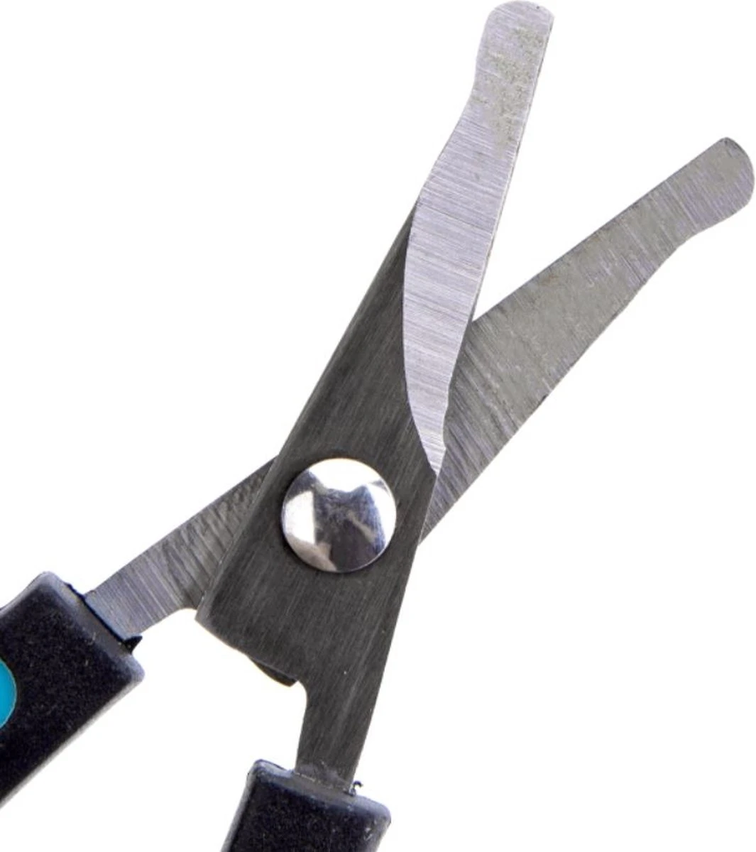 Nobleza Potenschaar - Snuitschaar - Stompe Schaar - Hondenschaar - Afgerond - Honden En Katten - RVS 5 Nobleza Potenschaar - Snuitschaar - Stompe Schaar - Hondenschaar - Afgerond - Honden En Katten - RVS - Afbeelding 3