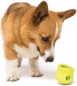 West Paw Toppl Zogoflex - Uitdagend En Sterk Speelgoed Voor Honden - Slowfeeder - Vulbaar Met Voer Of Snacks - Kleur: Groen, Maat: Large 37 West Paw Toppl Zogoflex - Uitdagend En Sterk Speelgoed Voor Honden - Slowfeeder - Vulbaar Met Voer Of Snacks - Kleur: Groen, Maat: Large -Merkloos Winkel 1074x1200 2
