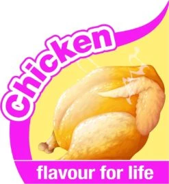 Nylabone - Extreme Triopack Kauwbotten Met Smaken Pindakaas, Kip En Bacon - Small 12 Nylabone - Extreme Triopack Kauwbotten Met Smaken Pindakaas, Kip En Bacon - Small -Merkloos Winkel 1102x1200 1