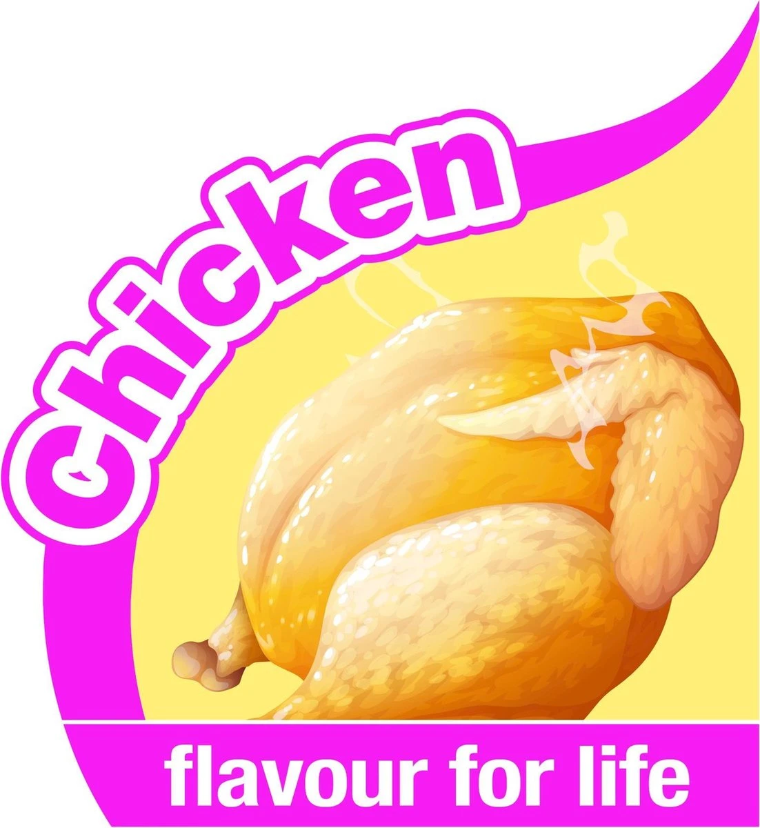 Nylabone Harde Bijters Kluif - Kip - Voor Honden Tot 20 Kg 4 Nylabone Harde Bijters Kluif - Kip - Voor Honden Tot 20 Kg - Afbeelding 2