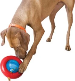 Kong-hondenspeelgoed-slowfeeder-voerdispenser- Gyro- Maat L -Merkloos Winkel 1105x1200 4