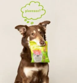 Merkloos Edgard & Cooper Lam & Rund Bites - Voor Honden - Hondensnack - 50g 22 Merkloos Edgard & Cooper Lam & Rund Bites - Voor Honden - Hondensnack - 50g -Merkloos Winkel 1115x1200 3