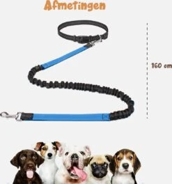 Hardloopriem Hond – Honden Riem Handsfree – Hardlopen Met Hond – 160-260 Cm Blauw - Hardloopband Hond – Halsband Hond – Hondenlijn – Leiband Hond -Merkloos Winkel 1124x1200 4