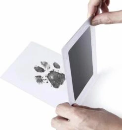 PrintMe - Paw Print Pad - Groter Formaat - Pootafdruk Maken Van Hond Of Kat - Zeer Gemakkelijk - Verbeterd Formaat! - Geen Inkt Op De Poot Van Uw Huisdier- Groot - Leuk Als Cadeau! 10 PrintMe - Paw Print Pad - Groter Formaat - Pootafdruk Maken Van Hond Of Kat - Zeer Gemakkelijk - Verbeterd Formaat! - Geen Inkt Op De Poot Van Uw Huisdier- Groot - Leuk Als Cadeau! -Merkloos Winkel 1133x1200