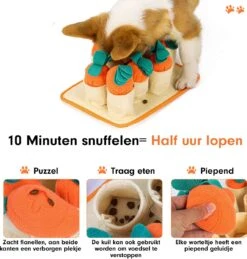 Premium Snuffelmat Voor Hond En Kat - Intelligentie Speelgoed - Snuffel Mat Puppy - IQ Hondenspeeltjes - Educatieve Training Huisdier - Snuffeltrainer Hondenpuzzel - Educatief Speelgoed - Vetalo -Merkloos Winkel 1145x1200 1