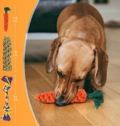 Nobleza Honden Speelgoed Set PLJ - 10 Stuks -Merkloos Winkel 1146x1200 3