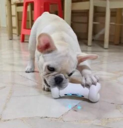 Cheerble Wickedbone|Automatisch Hondenspeeltje|Interactief En Intelligent Speelgoed Voor Honden|App & Bluetooth Bestuurbaar|USB Oplaadbaar 17 Cheerble Wickedbone|Automatisch Hondenspeeltje|Interactief En Intelligent Speelgoed Voor Honden|App & Bluetooth Bestuurbaar|USB Oplaadbaar -Merkloos Winkel 1147x1200 6