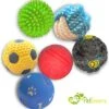 Petloverz Ballen Set - Honden Speelgoed - Intelligentie - Ballen - 6 Stuks -Merkloos Winkel 1161x1200 6
