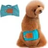 Merkloos Hondenluier Voor Kleine Hond - Luier Voor Reu - Buikband Maat S 27 Cm X 25 Cm 1 Merkloos Hondenluier Voor Kleine Hond - Luier Voor Reu - Buikband Maat S 27 Cm X 25 Cm -Merkloos Winkel 1164x1200