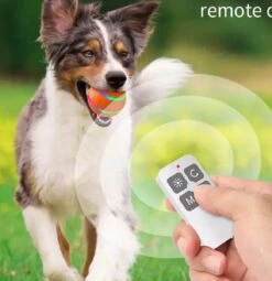 Merkloos Slimme Interactieve Zelf Rollende Bal Voor Honden - 3 Speelmodi - Honden Speelgoed - Hondenspeeltjes - USB Oplaadbaar - Met Afstandsbediening - Intelligente Automatische Roterende Waterproof Led Bal Met Afstandsbediening - Oranje -Merkloos Winkel 1164x1200 5