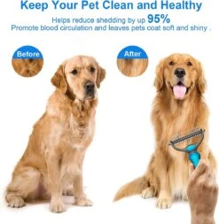 Igoods Professionele 2-Zijdige Ondervacht Kam Voor Hond En Kat - Hondenborstel – Kattenborstel 12 Igoods Professionele 2-Zijdige Ondervacht Kam Voor Hond En Kat - Hondenborstel – Kattenborstel -Merkloos Winkel 1172x1200 2