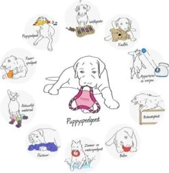 Trixie Dogtoy Dog Activity Strategy Game Gamble Box - Piepend Speelgoed - 15cm X 15cm X 9cm - Zwart/rood/oranje 21 Trixie Dogtoy Dog Activity Strategy Game Gamble Box - Piepend Speelgoed - 15cm X 15cm X 9cm - Zwart/rood/oranje -Merkloos Winkel 1178x1200 6