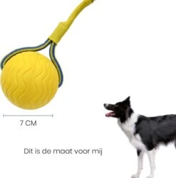 Leashr Honden Speelgoed - Bal Aan Touw - 2 Stuks - Touw - Koord - Kauwspeelgoed - Apporteer - Hond - 7 CM -Merkloos Winkel 1180x1200 6