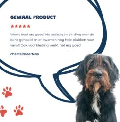JC Pets Premium Pluizenborstel - Huisdierhaar Verwijderaar – Pluizenverwijderaar – Honden En Kattenhaar Verwijderaar - Ontpluizer - Pluizenroller -Merkloos Winkel 1183x1200