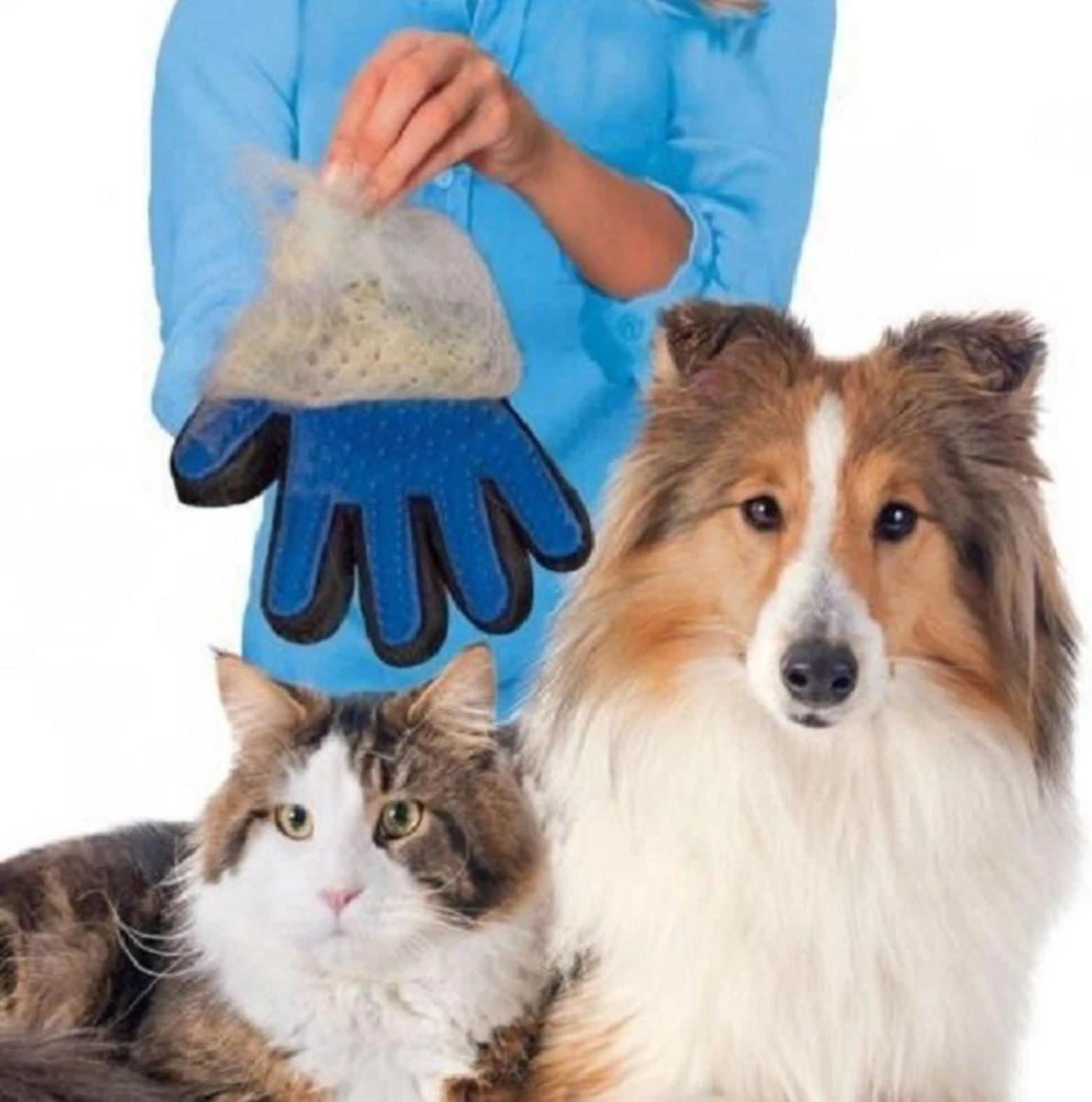Vacht Verzorgingsborstel Voor Huisdieren - Blauw - LimitedDeals - Voor Honden Katten Konijnen Paarden - Tevens Massage Handschoen Voor Dieren! - Goed Voor De Verzorging Van De Vacht 9 Vacht Verzorgingsborstel Voor Huisdieren - Blauw - LimitedDeals - Voor Honden Katten Konijnen Paarden - Tevens Massage Handschoen Voor Dieren! - Goed Voor De Verzorging Van De Vacht - Afbeelding 7