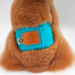 Merkloos Hondenluier Voor Kleine Hond - Luier Voor Reu - Buikband Maat S 27 Cm X 25 Cm 9 Merkloos Hondenluier Voor Kleine Hond - Luier Voor Reu - Buikband Maat S 27 Cm X 25 Cm -Merkloos Winkel 1194x1200 3