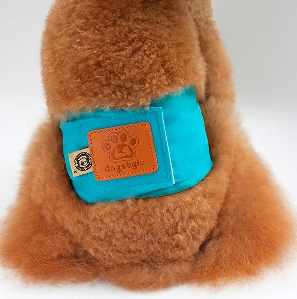 Merkloos Hondenluier Voor Kleine Hond - Luier Voor Reu - Buikband Maat S 27 Cm X 25 Cm 6 Merkloos Hondenluier Voor Kleine Hond - Luier Voor Reu - Buikband Maat S 27 Cm X 25 Cm - Afbeelding 4