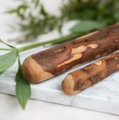 Kivo Petfood Hondenbot Natuurlijke Kauwstaaf Olijfhout L - Graanvrij - Splintert Niet