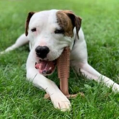 Spot Bam-Bones Plus Easy Grip - Veilig Kauwbot Voor Honden - Speciaal Voor Sterke Kauwers - Verzorgt Het Gebit Van De Hond - Rund Of Kip - S/M/L - Maat: Large, Smaak: Kip -Merkloos Winkel 1198x1200 16