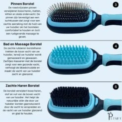 Petsify - Dierenborstel - Professionele 5 In 1 Hondenborstel - Voor Hond En Kat - Tweezijdig - Hondenkam - Kattenborstel - Kattenkam 11 Petsify - Dierenborstel - Professionele 5 In 1 Hondenborstel - Voor Hond En Kat - Tweezijdig - Hondenkam - Kattenborstel - Kattenkam -Merkloos Winkel 1198x1200