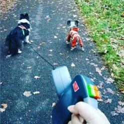 Merkloos Dubbele Hondenriem Voor Twee Honden - Grijs - Tot 22 Kg (per Hond) - 300 Cm -Merkloos Winkel 1198x1200 26