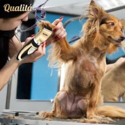 Merkloos Professionele Honden Tondeuse Set - Tondeuse Voor Huisdier Honden En Katten - Hondentrimmer - Hondentondeuse 15 Merkloos Professionele Honden Tondeuse Set - Tondeuse Voor Huisdier Honden En Katten - Hondentrimmer - Hondentondeuse -Merkloos Winkel 1198x1200 3