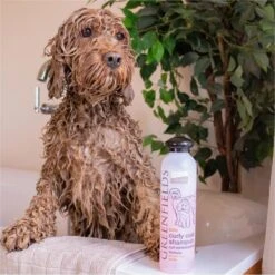 Greenfields Labradoodle Vacht Verzorgingsset - Shampoo En Anti-Klit Spray Voor Langharige Of Krullende Vacht -Merkloos Winkel 1199x1200 1