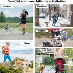Filo Elastische Hondenriem Groot - Hardlopen En Wandelen - Hardloopriem Hond Handsfree Met Heuptasje - Looplijn Met Heupriem - Canicross Gordel Honden - Riemen - Heupgordel - Leiband -Merkloos Winkel 1199x1200 19