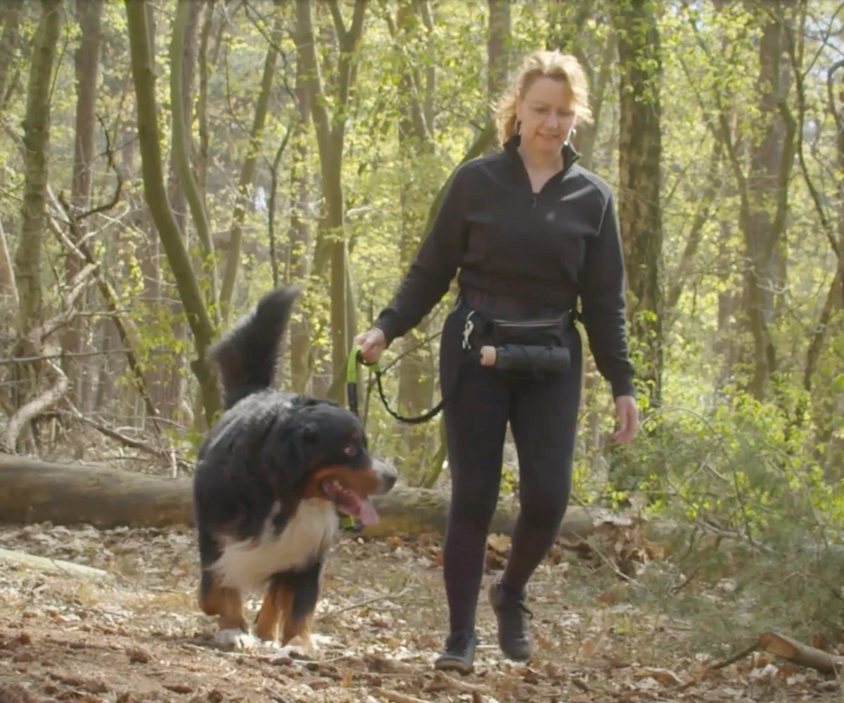 Canicross Looplijn Hond Met Heupriem Voor Hardlopen - Elastische Handsfree Hondenriem - Honden Trainingslijn - 150/200cm - Blauw 3 Canicross Looplijn Hond Met Heupriem Voor Hardlopen - Elastische Handsfree Hondenriem - Honden Trainingslijn - 150/200cm - Blauw - Afbeelding 2