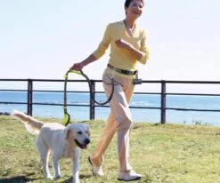 Canicross Looplijn Hond Met Heupriem Voor Hardlopen - Elastische Handsfree Hondenriem - Honden Trainingslijn - 150/210cm - Zwart -Merkloos Winkel 1200x1000 8