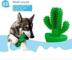 Tandenborstel + TANDPASTA Hond Melk Geur Smaak En Piep Honden Speelgoed - Cactus Dog Toy Tandverzorging Kauwbotten Hondenspeelgoed Hondenbot Kauwstaaf Tanden Puppy Hondenspeeltje Sterk Kauwspeelgoed - Dutchwide -Merkloos Winkel 1200x1008 4