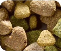 VERSELE-LAGA Happy Life Adult - Kip - Hondenvoer - 15 Kg -Merkloos Winkel 1200x1010 1