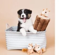 Zippy Paws - Petshop By Fringe Studio- Intelligentie Spel - Speelgoed Hond - Honden - Puzzel - Eekhoorn -Merkloos Winkel 1200x1014 2