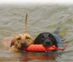 Kong Training Du Mmy XL - Kauwspeelgoed - 354 Mm X 77 Mm X 64 Mm - Oranje -Merkloos Winkel 1200x1017 1