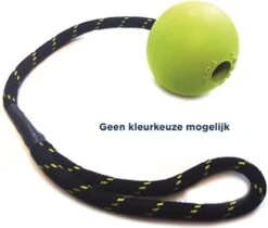 Satisfyer Happy Pet Floater Jumbo Bal - Aan Touw - Apporteren - 39 Cm -Merkloos Winkel 1200x1021 5