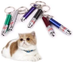 Katten Laser - Lampje Voor De Kat - 2 In 1 - Laser + Wit Lampje - Met Hanger - Katten / Honden Laserlamp - Mini - Sleutelhanger -Merkloos Winkel 1200x1023 1