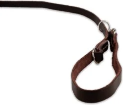 Multifunctionele Hondenriem - 220cm - Bruin - Leren Hondenriem - 100% Volnerfleer - Hondenriem Leer - Leiband Hond 19 Multifunctionele Hondenriem - 220cm - Bruin - Leren Hondenriem - 100% Volnerfleer - Hondenriem Leer - Leiband Hond -Merkloos Winkel 1200x1026 8