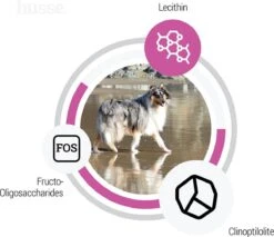 Husse Zalm En Rijst Hypoallergeen - Hondenvoer - 12,5 Kg -Merkloos Winkel 1200x1037 1