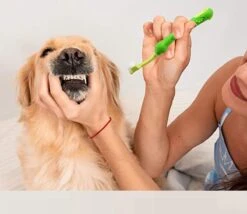 Merkloos Tandenborstel - Voor Huisdieren - Honden - 3 Zijdig - Multi-Hoek - Schoonmaken - Tanden - Slechte Adem - Tandsteen - Tandenborstel - Gezondheid - Blauw -Merkloos Winkel 1200x1042 2