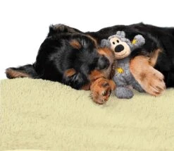 Kong Wild Knots Beer - Hondenspeelgoed - Assorti - M - 25 X 20 X 10 Cm -Merkloos Winkel 1200x1042 4