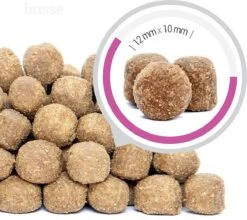 Husse Zalm En Rijst Hypoallergeen - Hondenvoer - 12,5 Kg -Merkloos Winkel 1200x1071