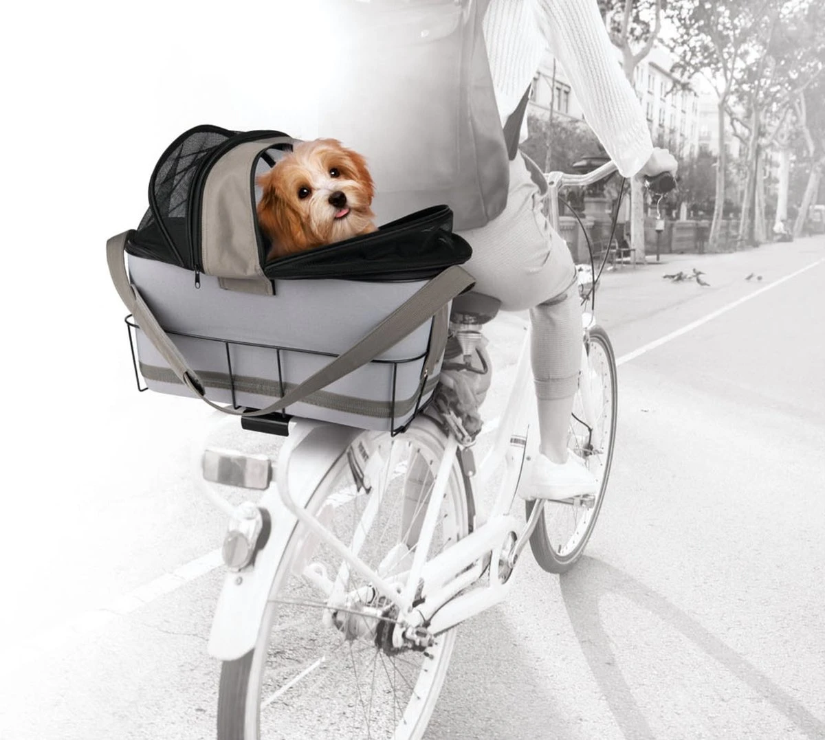 Zoofari Fiets Hondenmand - Max. Belasting: 6 Kg - Met Geïntegreerd Signaaltoon - Ca. 47 X 29 X 45 Cm (l X B X H) - Stevig Metalen Frame Voor Montage Op De Bagagedrager - Met Zijdelingse Gaasafdekkingen Voor Een Goede Luchtcirculatie - Uitneembare Tas 3 Zoofari Fiets Hondenmand - Max. Belasting: 6 Kg - Met Geïntegreerd Signaaltoon - Ca. 47 X 29 X 45 Cm (l X B X H) - Stevig Metalen Frame Voor Montage Op De Bagagedrager - Met Zijdelingse Gaasafdekkingen Voor Een Goede Luchtcirculatie - Uitneembare Tas