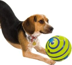 Wobble Wag Giggle Bal+ Honden Touw (30cm)- Honden Bal - Honden Speeltjes - Honden Speelgoed Intelligentie 11 Wobble Wag Giggle Bal+ Honden Touw (30cm)- Honden Bal - Honden Speeltjes - Honden Speelgoed Intelligentie -Merkloos Winkel 1200x1080 4