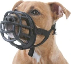 Company Of Animals Baskerville Ultra Muzzle - Muilkorf - Maat 3 (M) - Zwart 24 Company Of Animals Baskerville Ultra Muzzle - Muilkorf - Maat 3 (M) - Zwart -Merkloos Winkel 1200x1082 1